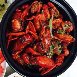 娱乐吃瓜酱美食视频